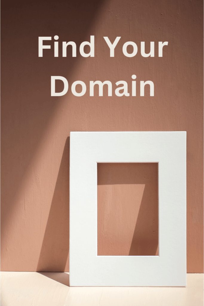 Find Your Domain | Startup Domains | BrandLily